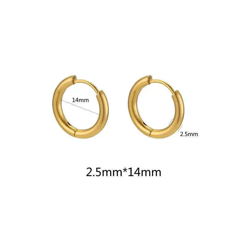 KIMLUD, 10pcs Stainless Steel Small Hoops Earring 8-20mm Women Men Piercing Ear Cartilage Stainles Steel Round Circle Pendientes, 2.5mmx14mm-gold, KIMLUD APPAREL - Womens Clothes