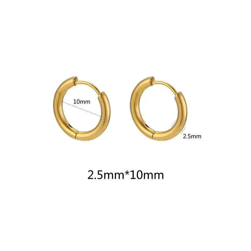 KIMLUD, 10pcs Stainless Steel Small Hoops Earring 8-20mm Women Men Piercing Ear Cartilage Stainles Steel Round Circle Pendientes, 2.5mmx10mm-gold, KIMLUD APPAREL - Womens Clothes