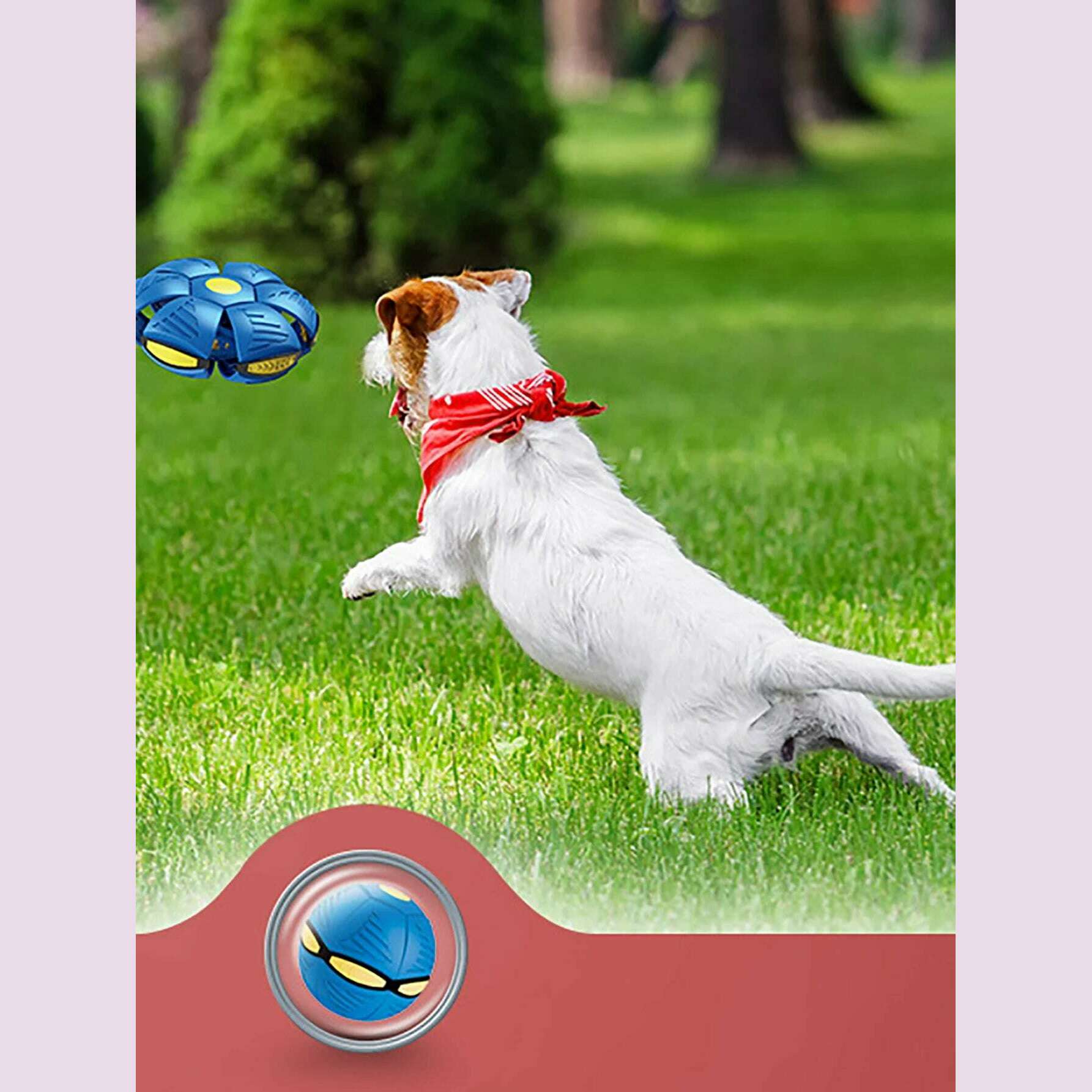 KIMLUD, 1pcs random color flying saucer deformation ball elastic stepping ball pet flying disc interactive pet training toy, KIMLUD Womens Clothes