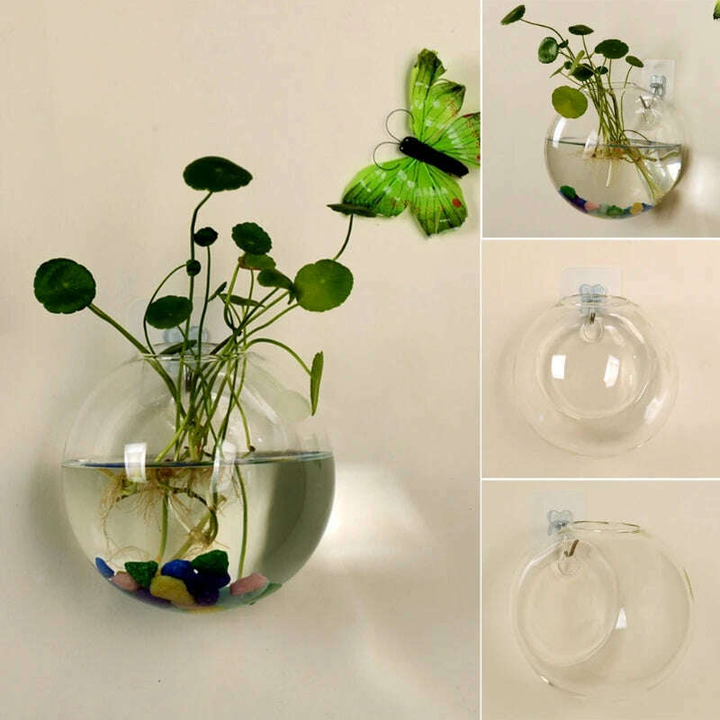 8cm/10cm/12cm Wall Hanging Hydroponic Glass Vase Small Hanging Fish Tank Wall Mount Glass Vase Landscape Decoration - KIMLUD