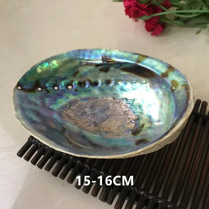 KIMLUD, 11-16CM Polished Abalone Shell Roasted Sage Utensils Large Conch Accessories Creative home accessories for Aquarium Nautical, KIMLUD Womens Clothes