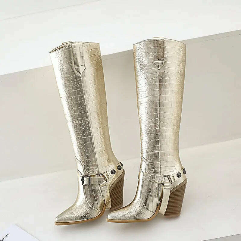 KIMLUD, Autumn Women Boots Fashion Buckle Knee High Boots Pu Leather Wedges High Heel Long Boots Pointed Toe Winter Woman Shoes, Gold / 5, KIMLUD Womens Clothes