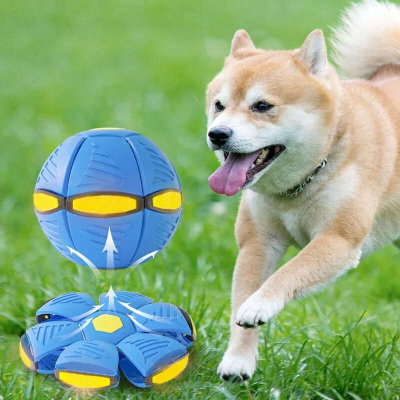 KIMLUD, Dog Toys Magic Funny Pet Toy Flying Saucer Outdoor Dog Training Toy Pelota Perro Dogs Accessoires Futurism Saucer Ball, KIMLUD Womens Clothes