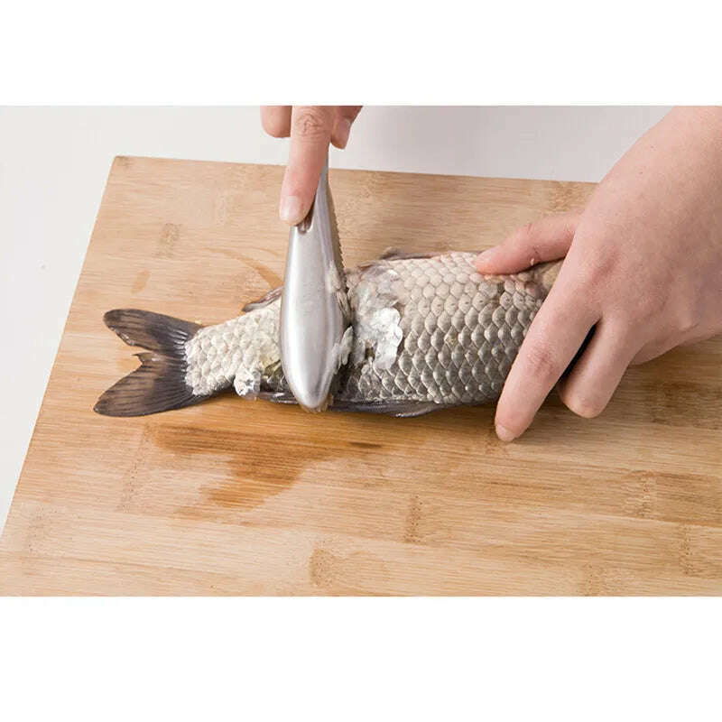 Stainless Steel Fish Scale Cleaner Scraper Fish Scale Peeler Remover Tool Fish Skin Steel Fish Shaver Remover Cleaning Brush - KIMLUD