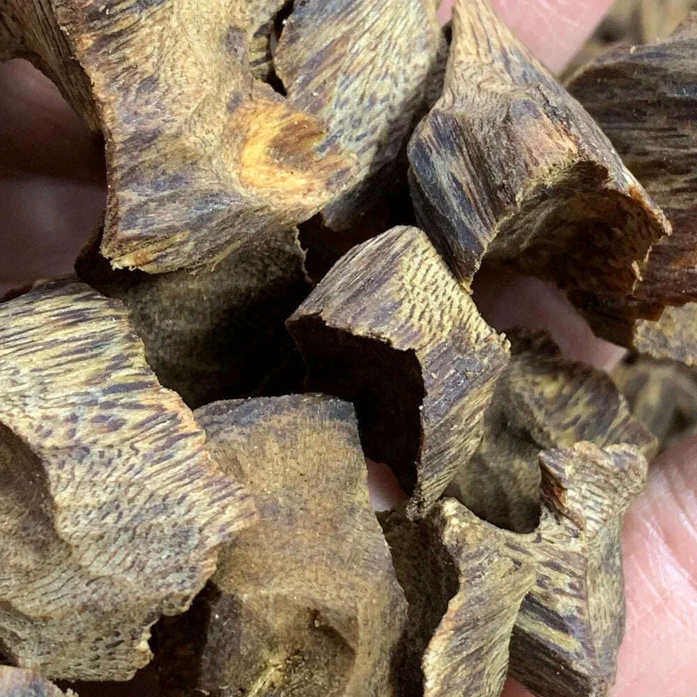 KIMLUD, Wholesale Genuine Chinese Kynam Incense Wood Chips Yellow Oil Natural Qi Nan Fragrance Home Fresh Room Aroma, 100g, KIMLUD APPAREL - Womens Clothes