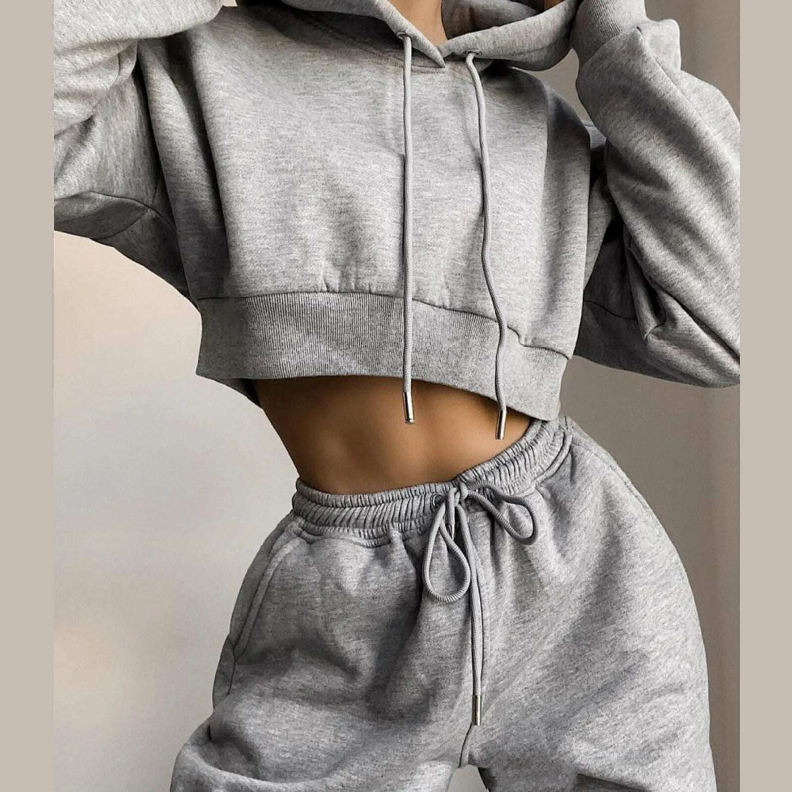 KIMLUD, Women 2 Piece Set Casual Sport Outfits Tracksuit Hoodies Sweatshirt+Sweatpants Jogger Pants 2024 Fashion Winter Sportswear, Grey / L / CN, KIMLUD APPAREL - Womens Clothes